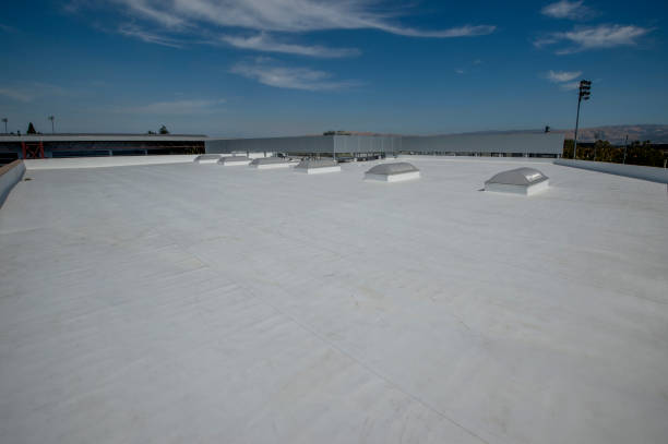 Best Gutter Installation and Repair  in Lookout Mountain, GA