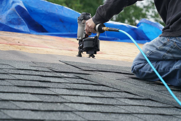Best Roof Moss and Algae Removal  in Lookout Mountain, GA